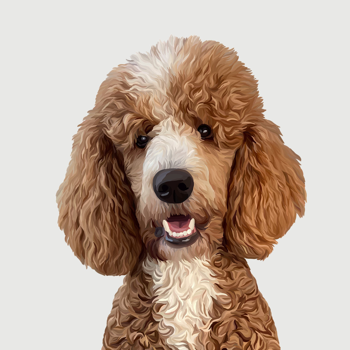 Detailed Pet Portrait of a curly haired brown and beige poodle.