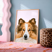 Pet Portraits