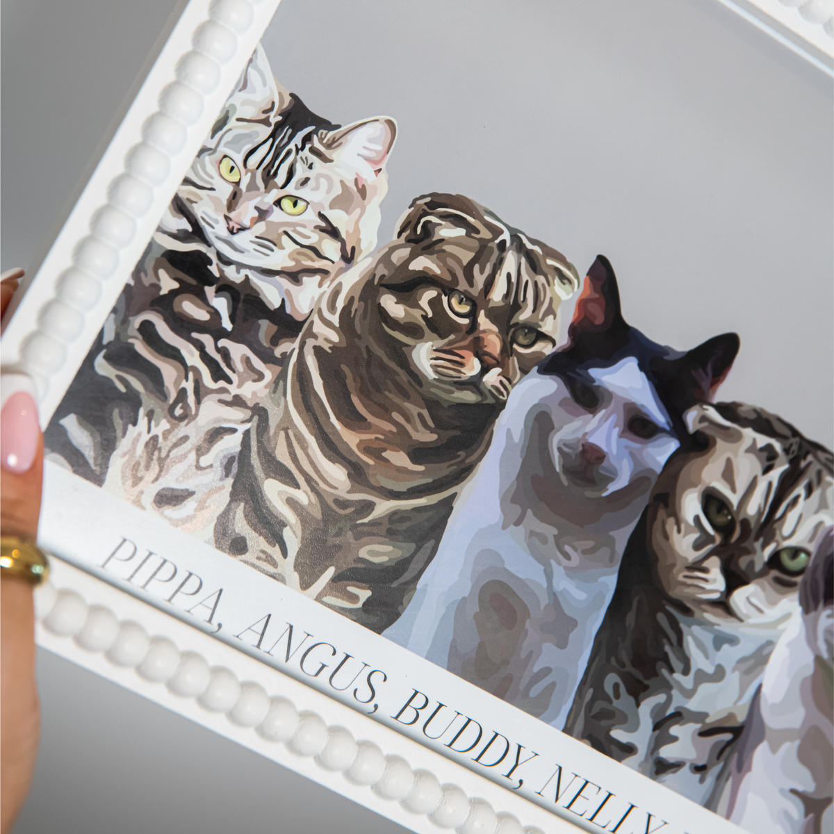 A close up image of 4/6 cats in a Bordered Cartoon Pet Portrait.