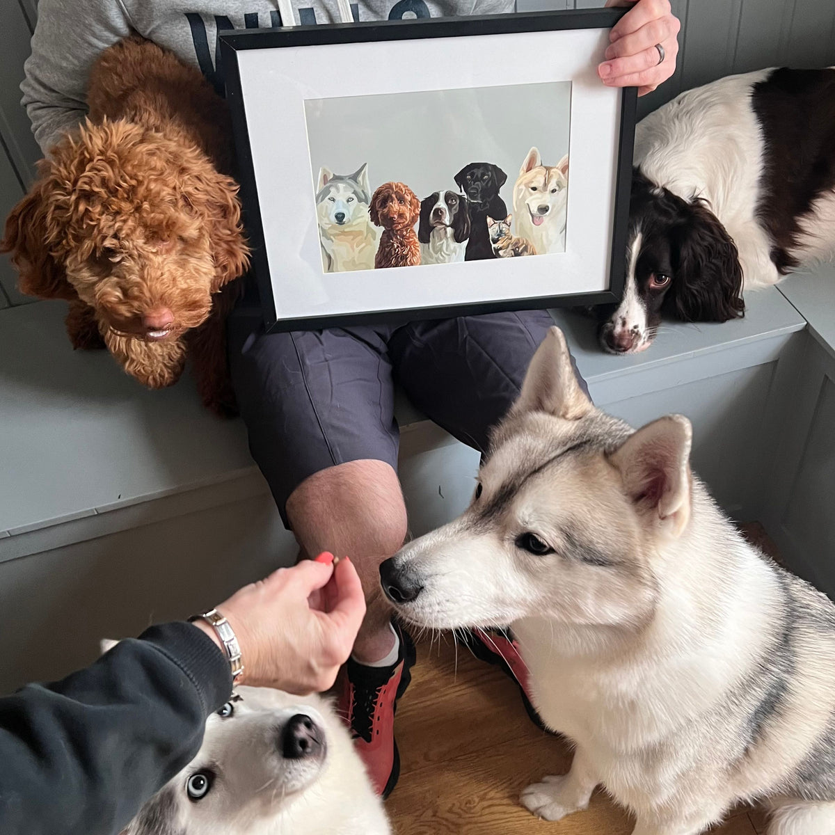 A picture of a man holding a Cartoon Pet Portrait with 5 dogs and 1 cat. 4 of the dogs sit next to the man and their print.