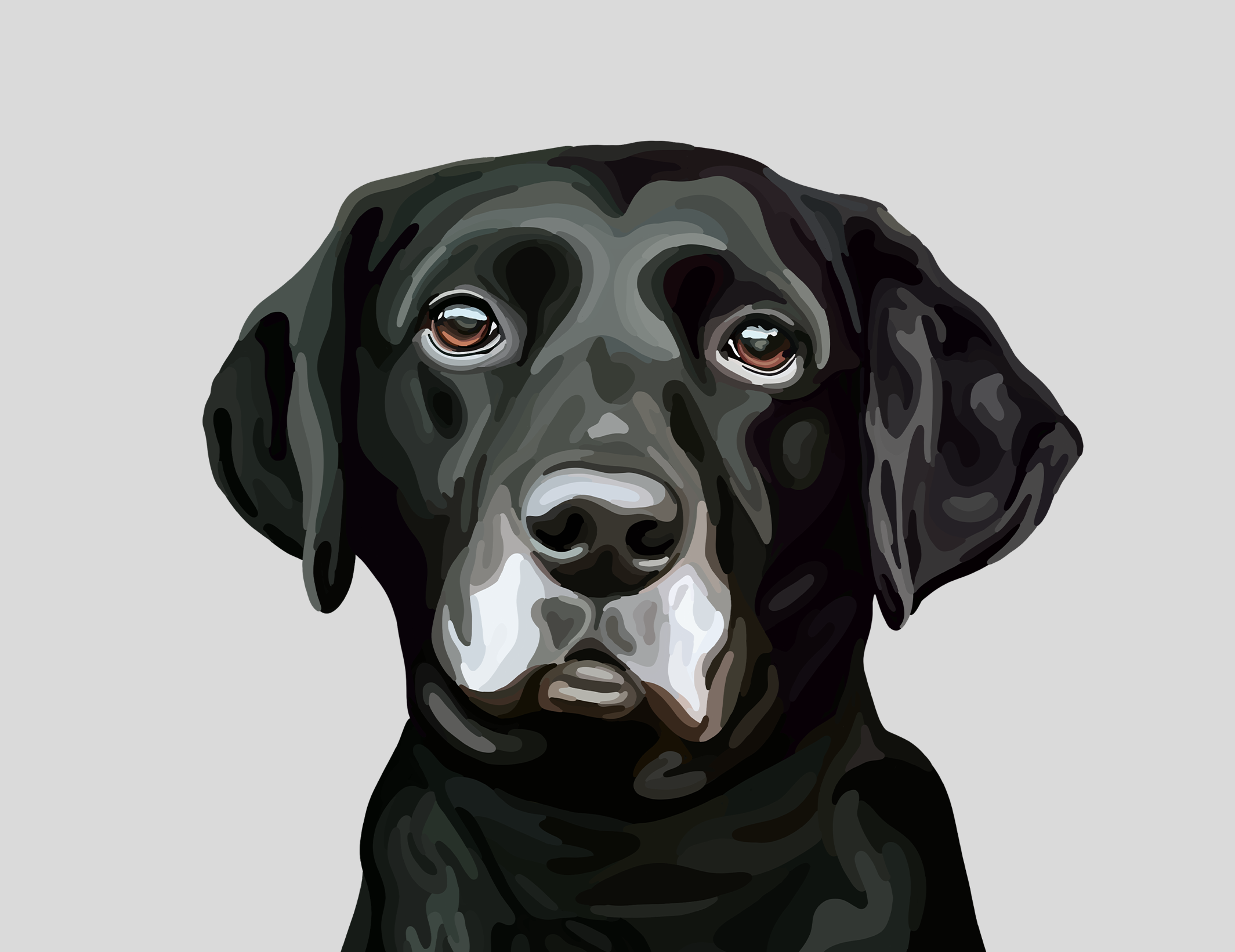 Cartoon Pet Portrait of a black Labrador on a light grey background.