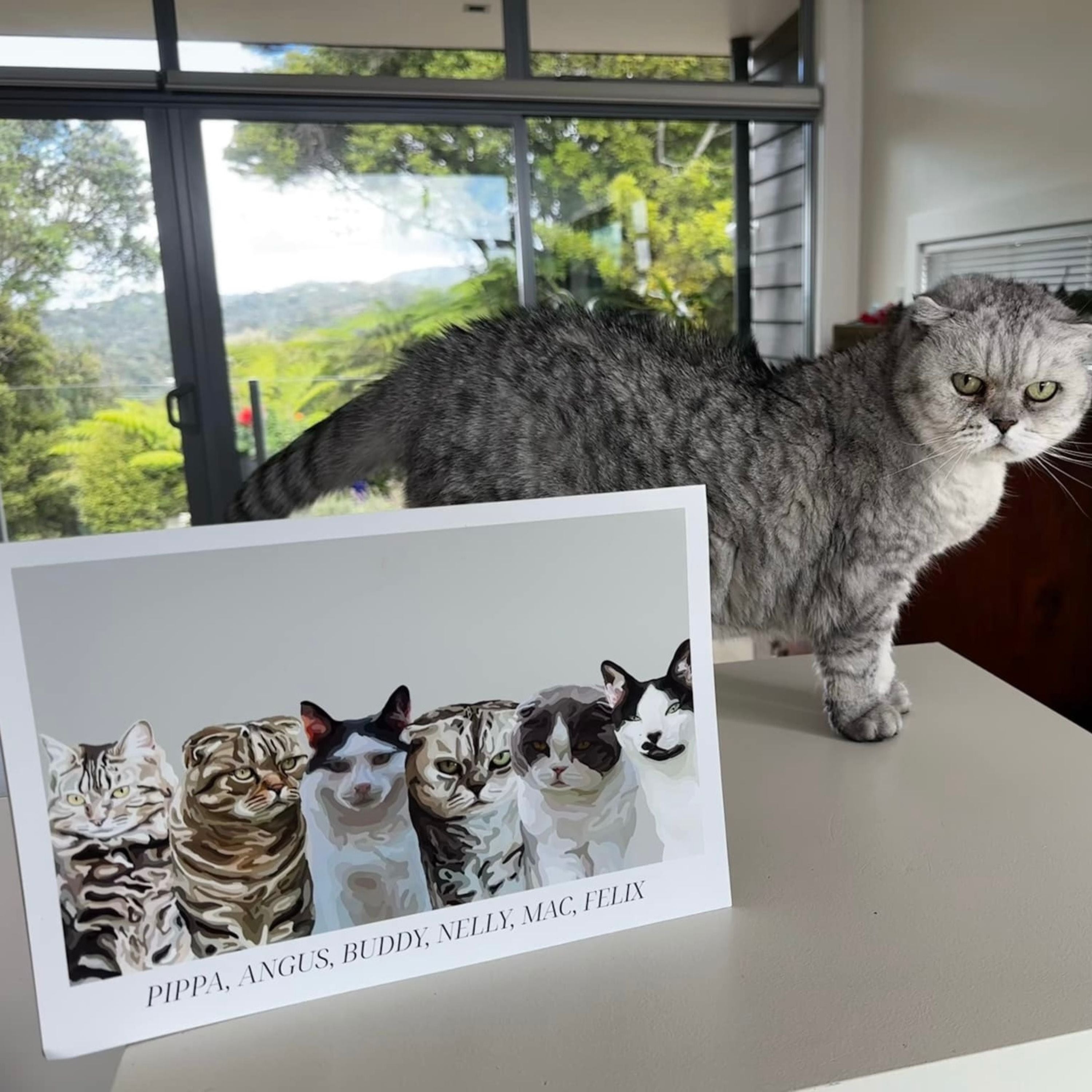 A photo of a grey and white cat stood on a bench next to an A4 landscape Bordered Cartoon Pet Portrait of 6 cats.