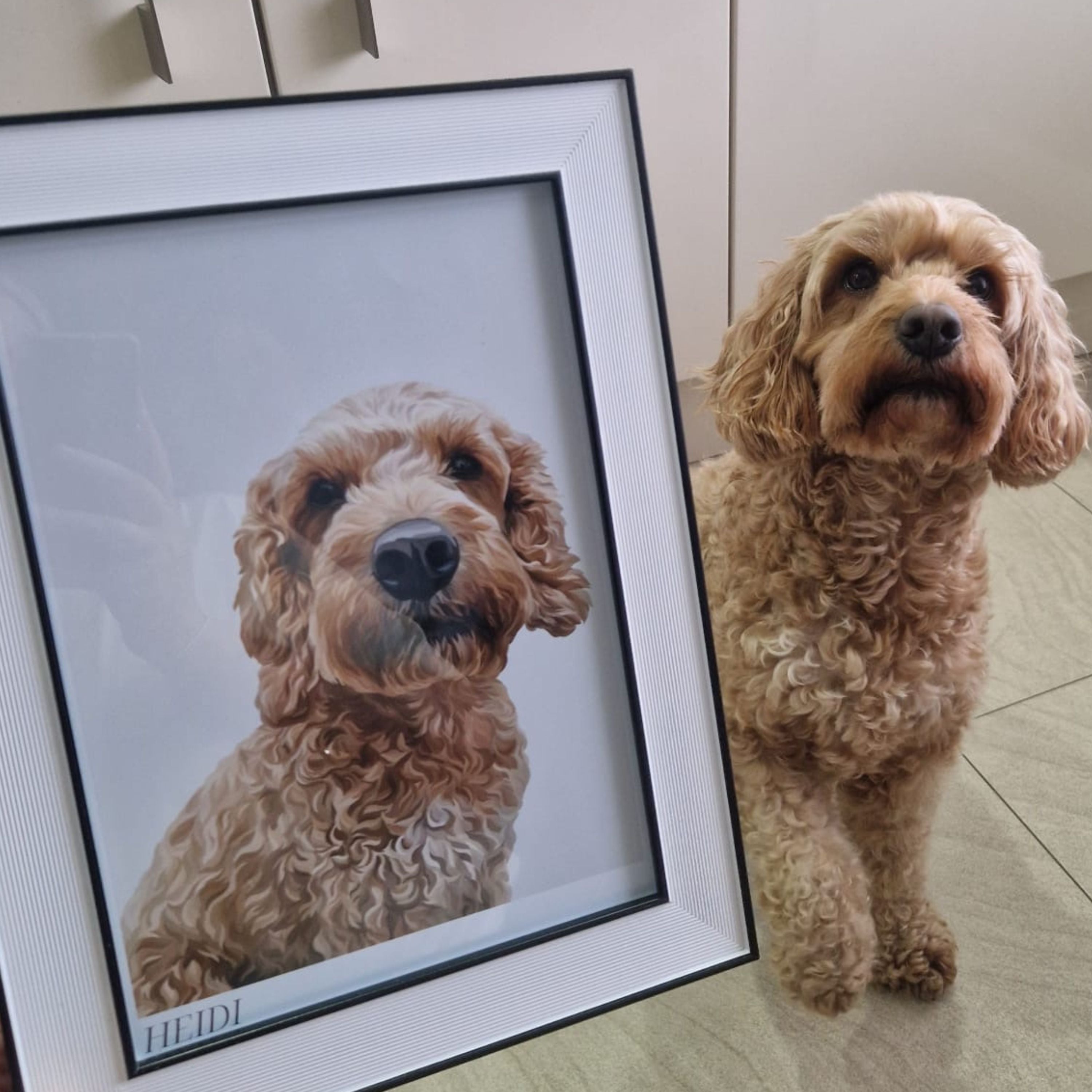 Framed Bordered Pet Portrait of a Cockapoo called Heidi. Heidi sits next to her print with a paw raised.