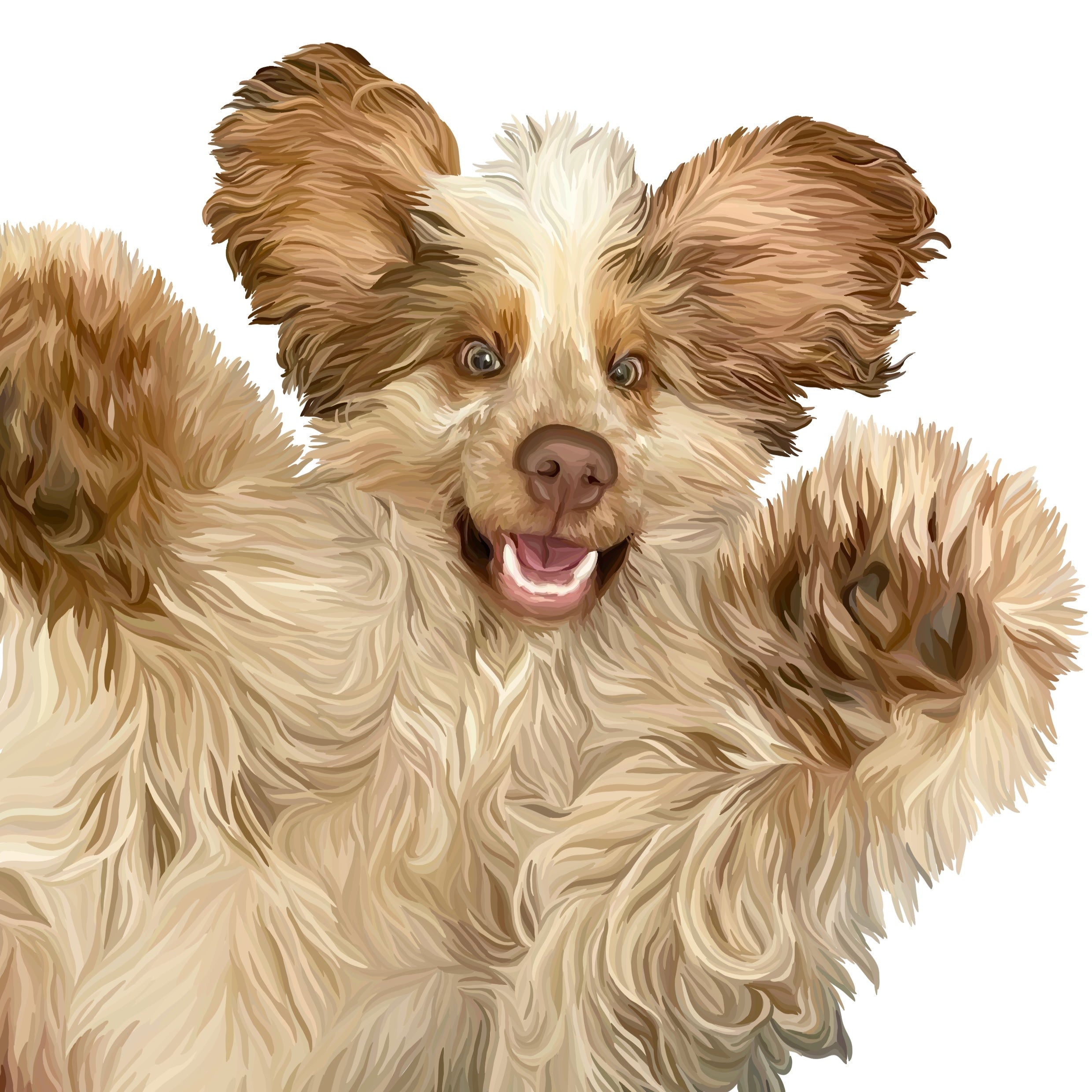 Detailed Pet Portrait of a Cocker Spaniel lying on his back with his paws in the air.