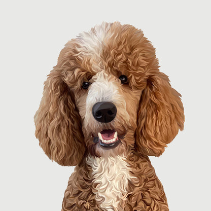 Detailed Pet Portrait of a curly haired brown and beige poodle.