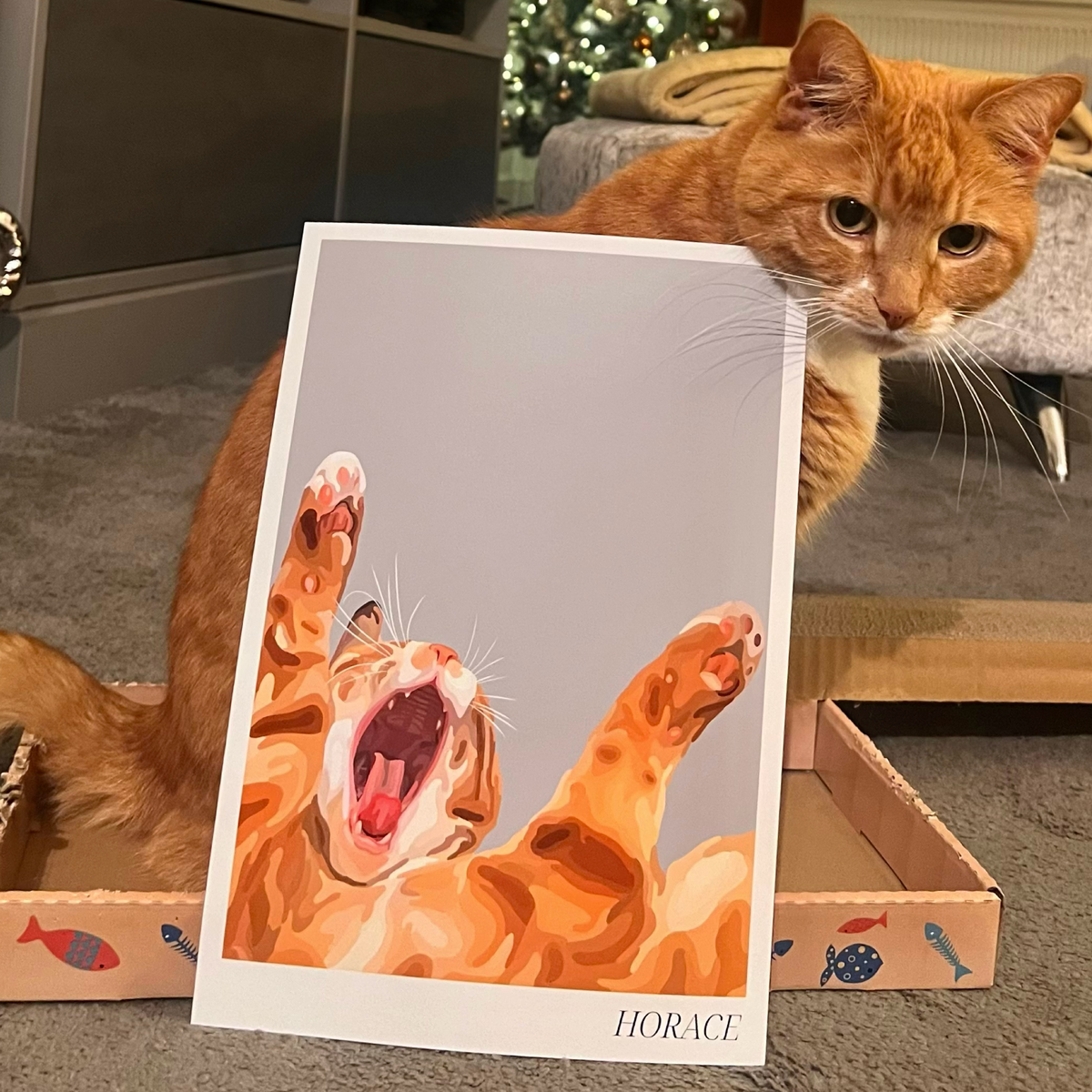 A photo of a ginger cat sat in a box with a Bordered Cartoon Pet Portrait of himself resting against him. 