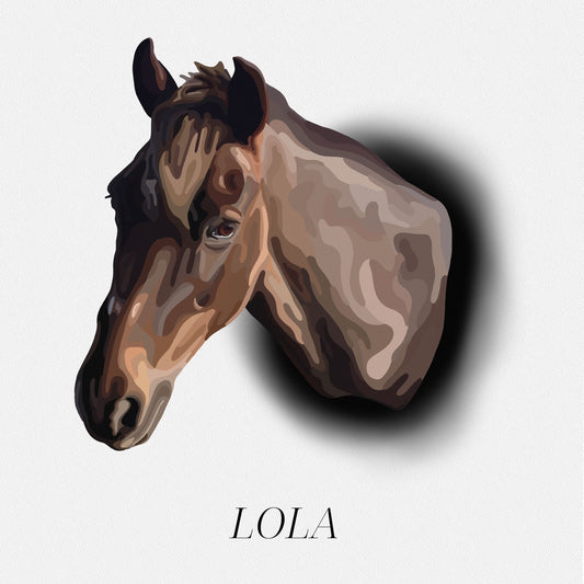 Spotlight Portrait of Lola, a brown horse, on a white background.