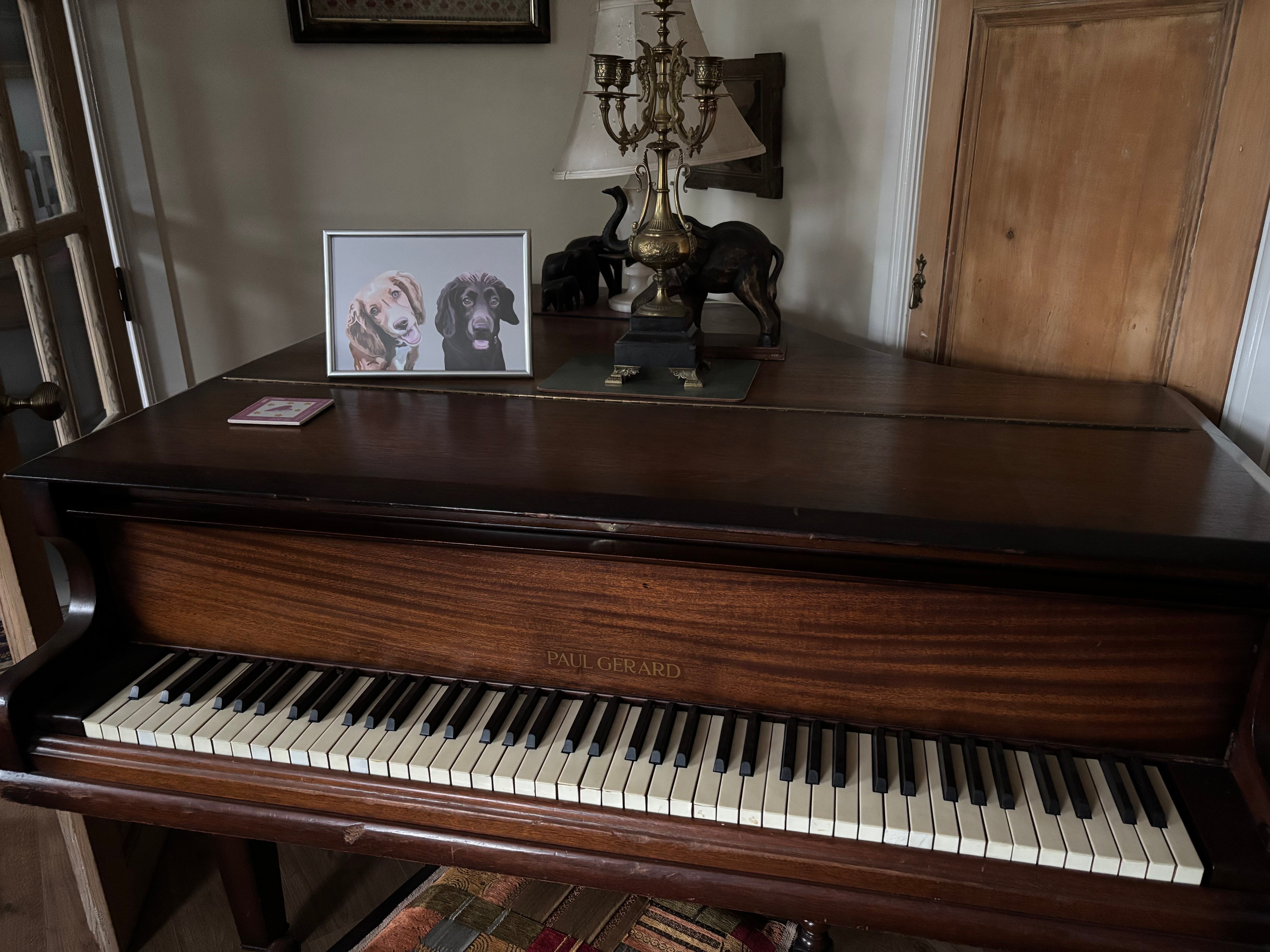 Wooden piano with a framed picture of two dogs on top done in a Cartoon Pet Portrait style.