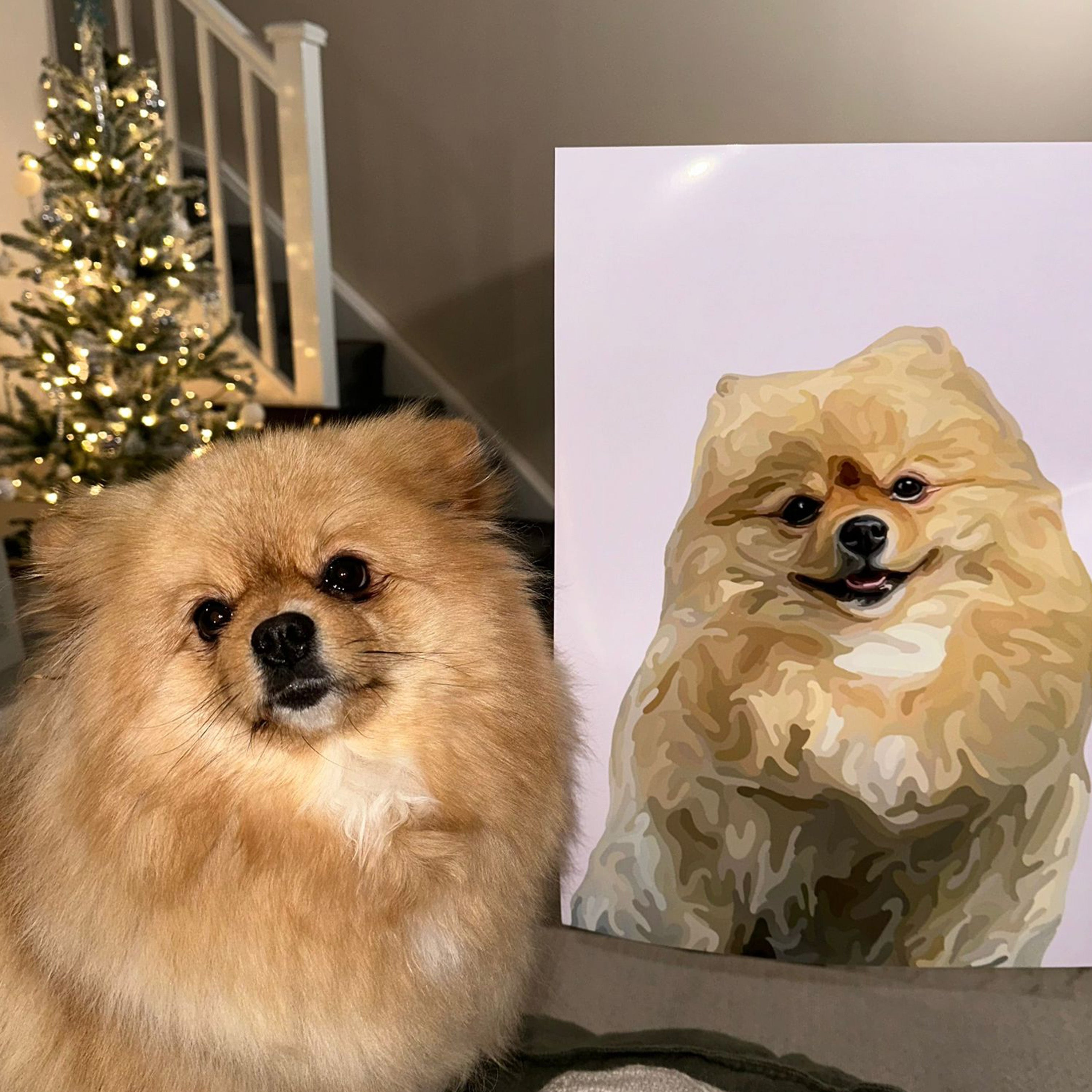 Snowball the Pomeranian sat next to her A3 Cartoon Pet Portrait print on a pink background.