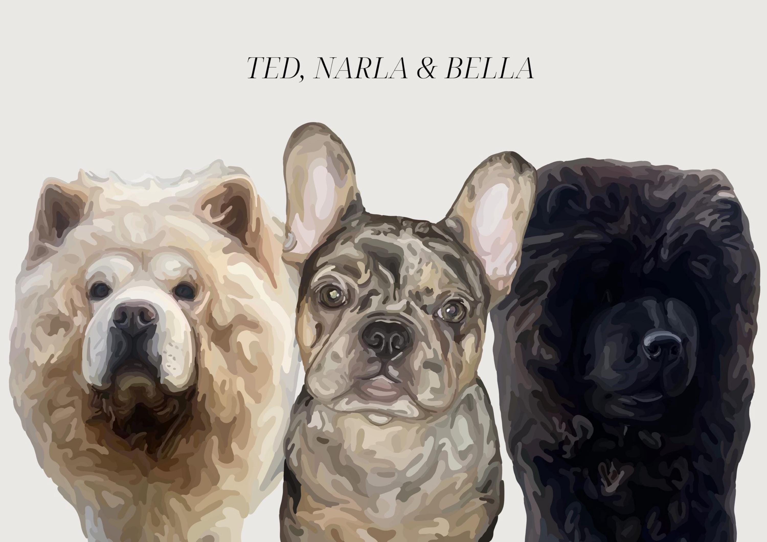 Three dogs named Ted, Narla, and Bella on a light gray background done in a Cartoon Pet Portrait style.